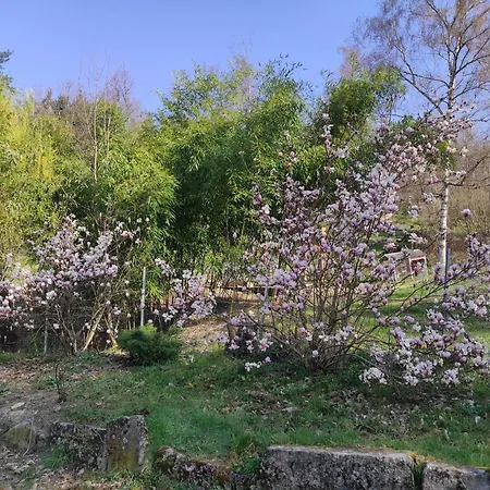 דירה L'oree Des Bois Courpiere