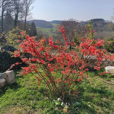 דירה L'oree Des Bois *