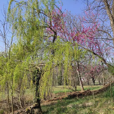 דירה L'oree Des Bois *