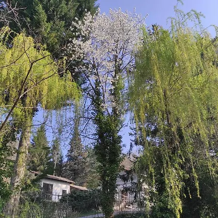 L'oree Des Bois * Courpiere